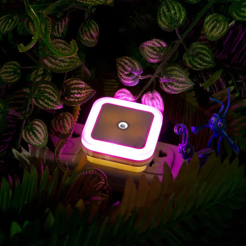 LED Night Light, Lighting Sensor