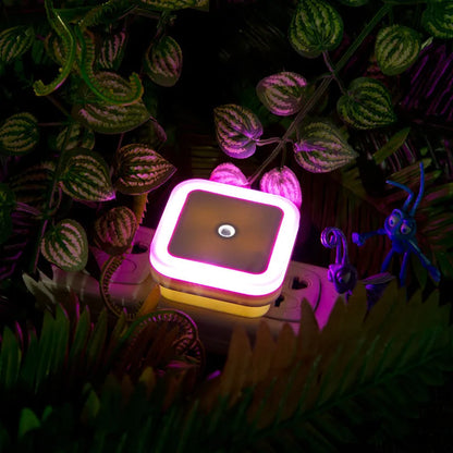 LED Night Light, Lighting Sensor