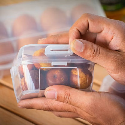 Outdoor/Shockproof Egg Box